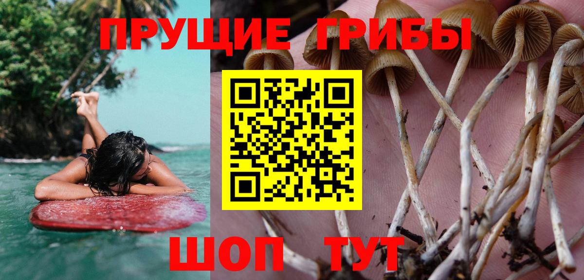 Экстази  Меф МЯУ МЯУ кристаллы  Вход с VPN  Марихуана  Кокаин  Купить  Всеволожск  ГАШИШ 